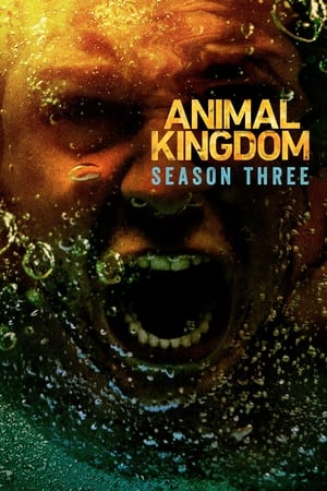 Animal Kingdom - temporada 3 poster