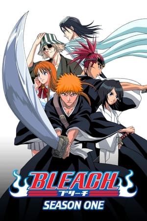 Bleach Temporada 1 poster