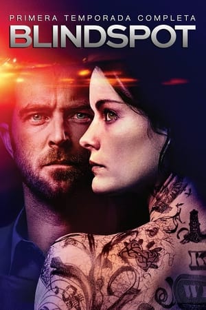 Blindspot Temporada 1 poster