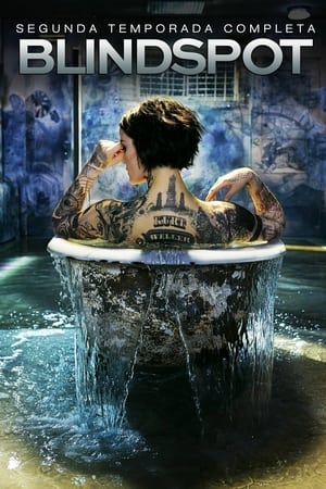 Blindspot Temporada 2 poster