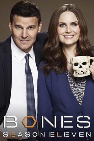 Bones Temporada 11 poster
