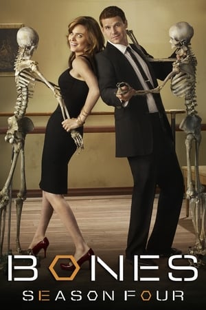 Bones - temporada 4 poster