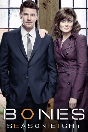 Bones - temporada 8 poster