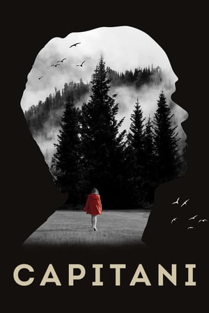 Capitani Temporada 1 poster