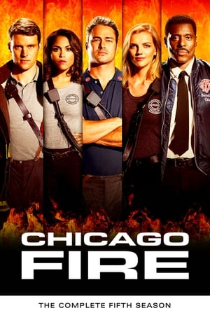 Chicago Fire temporada 5
