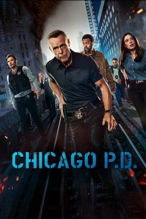 Chicago P.D. - temporada 12 poster