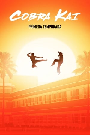 Cobra Kai Temporada 1 poster