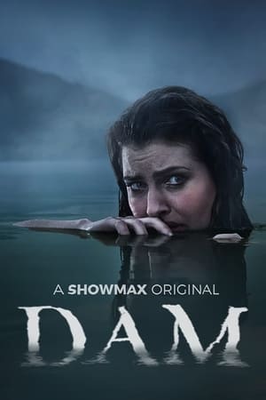 Dam Temporada 1 poster