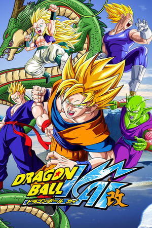 Dragon Ball Kai - temporada 0 poster