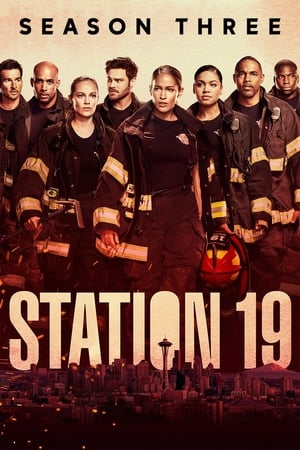 Estación 19 Temporada 3 poster