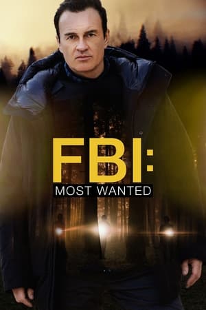 FBI: Most Wanted Temporada 3 poster