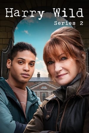 Harry Wild - temporada 2 poster