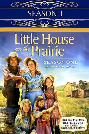 La casa de la pradera Temporada 1 poster