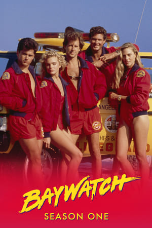 Los vigilantes de la playa Temporada 1 poster