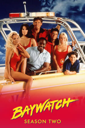 Los vigilantes de la playa Temporada 2 poster