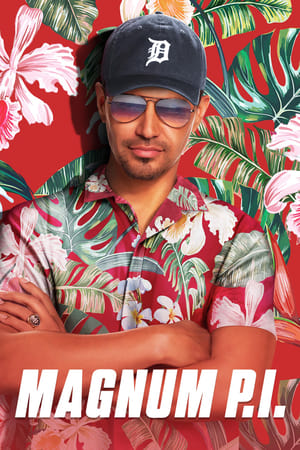 Magnum Temporada 1 poster