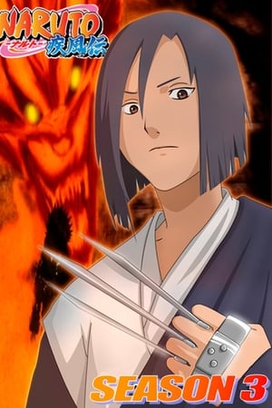 Naruto Shippuden Temporada 3 poster