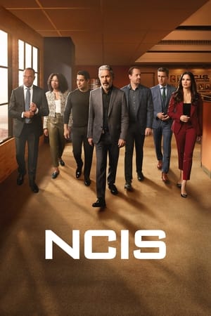 Navy: Investigación criminal Temporada 21 poster