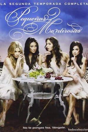 Pequeñas mentirosas Temporada 2 poster