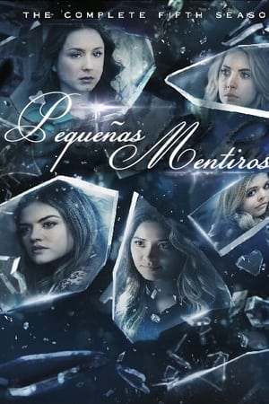 Pequeñas mentirosas Temporada 5 poster
