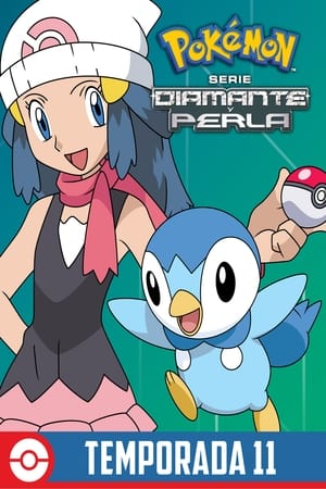 Pokémon temporada 11