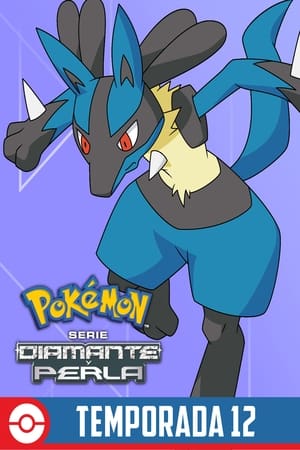 Pokémon temporada 12