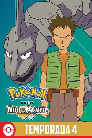 Pokémon temporada 4