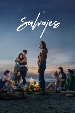 Salvajes Temporada 1 poster