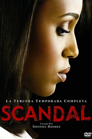 Scandal Temporada 3 poster