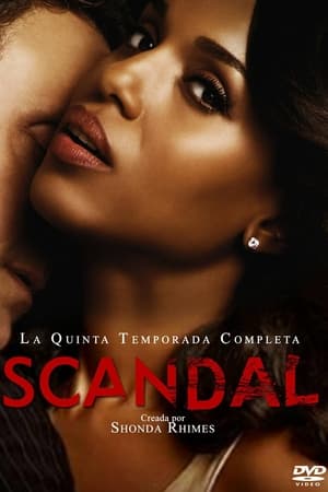 Scandal Temporada 5 poster