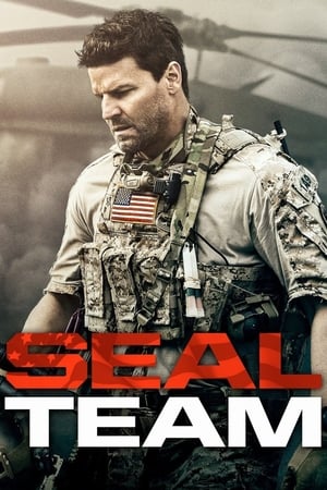 SEAL Team - temporada 1 poster