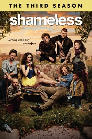 Shameless Temporada 3 poster