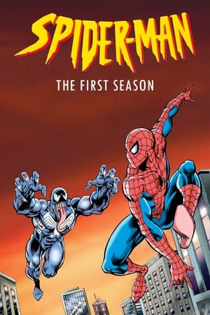 Spiderman Temporada 1 poster