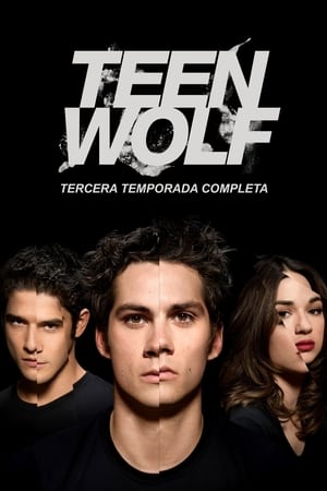Teen Wolf Temporada 3 poster