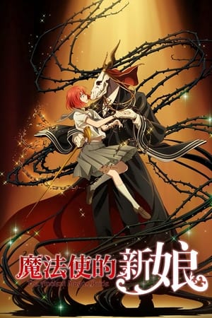 The Ancient Magus' Bride (Mahou Tsukai no Yome) Temporada 0 poster
