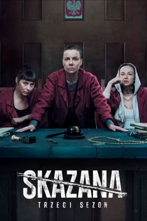 The Convict Temporada 3 poster